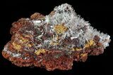 Hemimorphite Crystal Cluster - Chihuahua, Mexico #81112-1